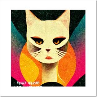 cat lady Posters and Art